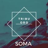Artwork voor "Soma"