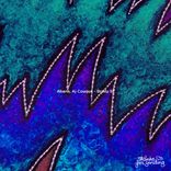 Artwork for "Brady St."