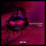 Artwork for "Awakening"