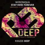 Artwork voor "Stay Here Forever"