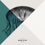Portada para "What If"
