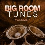Artwork for "Big Room Tunes, Vol. 4 (Extended Mixes)"
