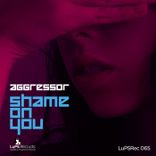 Artwork for "Shame On You"