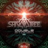 Artwork voor "Double Stoned"