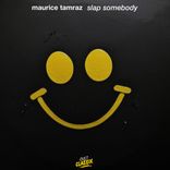 Portada para "Slap Somebody"