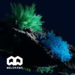 Artwork for "Meloram"