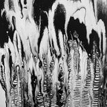 Artwork für "The Collection"