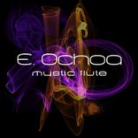 Portada para "Flute"