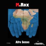 Artwork voor "Afro Senses"