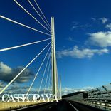 Artwork voor "Raw Forces"