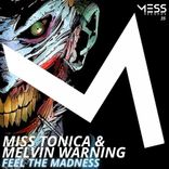 Artwork for "Feel the Madness"