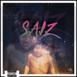 Artwork voor "S.A.I.Z."