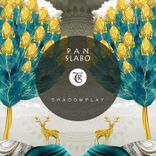Artwork for "Shadowplay"