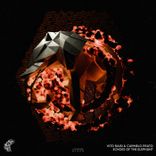 Echoes of the Elephant