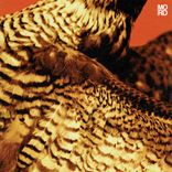 Artwork for "Highland Frequencies EP"