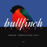 Artwork voor "Bullfinch Winter 2024 Compilation"