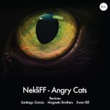Artwork for "Angry Cats"