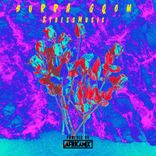 Artwork voor "Surra gqom"