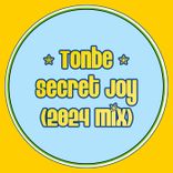 Portada para "Secret Joy (2024 Mix)"