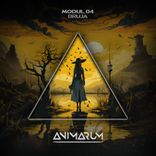 Artwork für "Bruja"