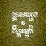 Artwork for "Squad Nights"