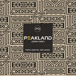 Artwork for "Dark Rain"