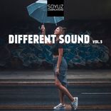 Artwork for "Different Sound, Vol. 5"