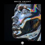 Artwork for "White Knight"