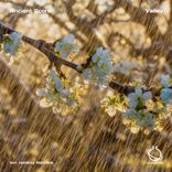 Artwork für "Valley"