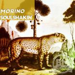 Artwork for "Soulshakin"