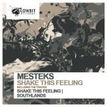 Artwork for "Shake This Feeling"