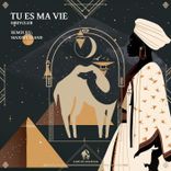 Portada para "Tu Es Ma Vie (Maximusland Remix)"