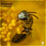 Artwork for "Bumblebee"