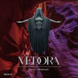 Artwork für "Terra"