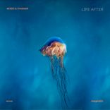 Artwork voor "Life After"
