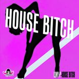 Artwork voor "House Bitch"