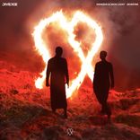 Portada para "Bonfire"