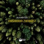 Artwork for "Mushroom Zumbaist"