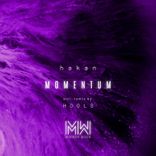Artwork for "Momentum"