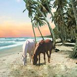 Artwork voor "I Just Wanna Sleep"