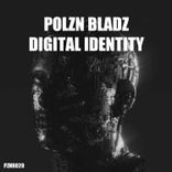 Artwork for "Digital Identity"