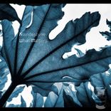 Artwork for "What Matters"