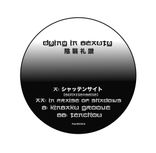 Artwork voor "In Praise of Shadows E.P"