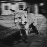 Artwork for "WHERE UR GOING"