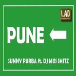 Portada para "Pune"