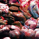 Portada para "HANGRY"