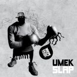 Portada para "Slap"