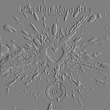 Artwork voor "Passion Moments"