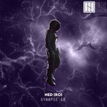 Artwork for "Synapse"