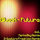 Artwork voor "Future"